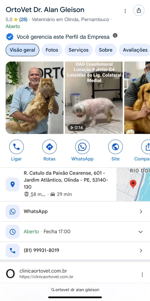 perfil-da-empresa-no-google-clinica-ortovet-olinda