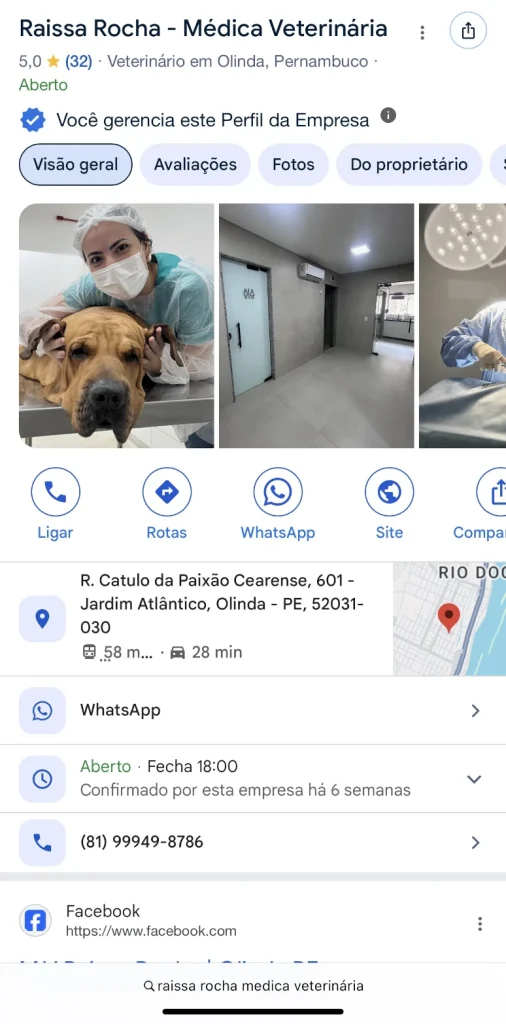 perfil-da-empresa-no-google-dra-raissa-rocha-olinda