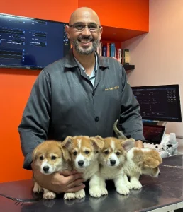 Dr. Ilvio Vidal, cardiologista veterinário no Recife