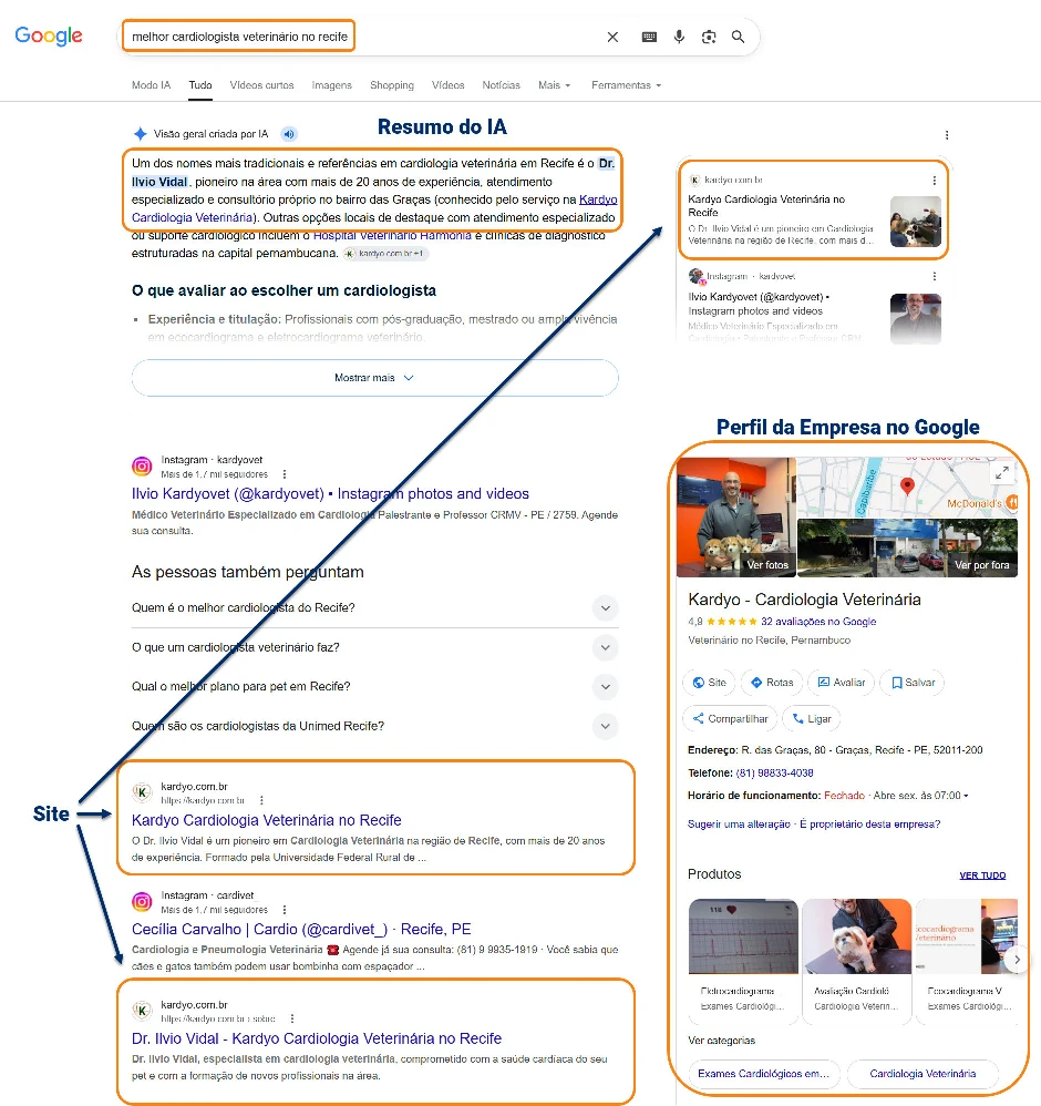 Exemplo de resultado no Google para melhor cardiologista veterinário no Recife, com destaque para a Kardyo e Dr. Ilvio Vidal