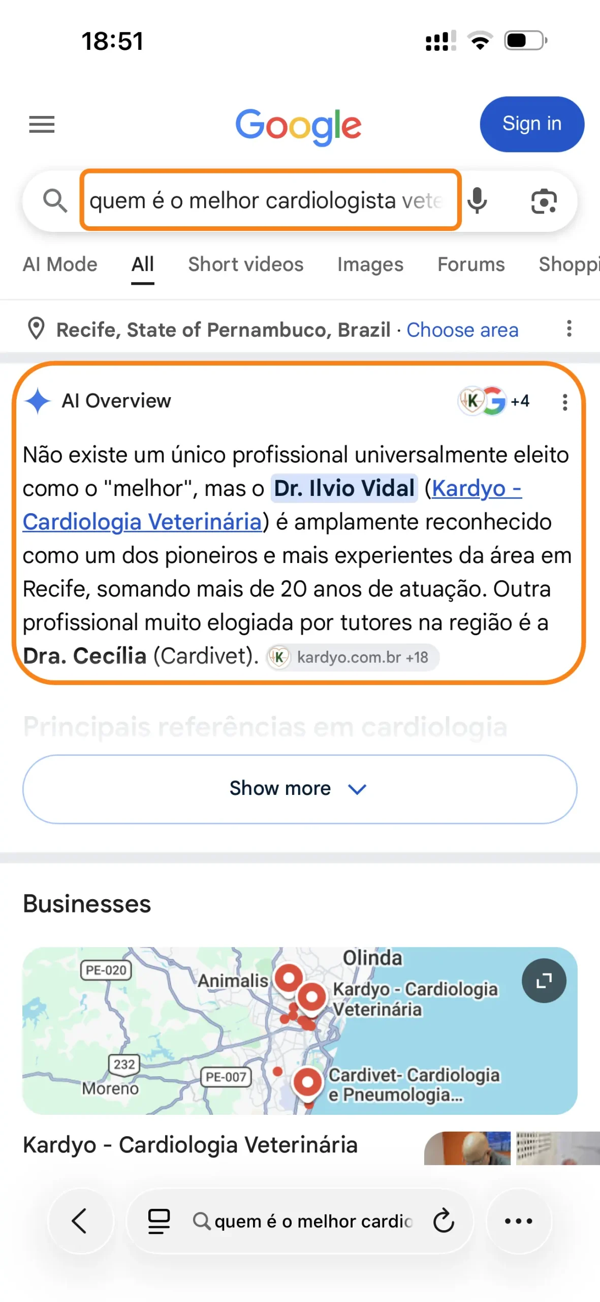 Resumo de IA mostra Dr. Ilvio Vidal da Kardyo para busca para o melhor cardiologista veterinário do Recife