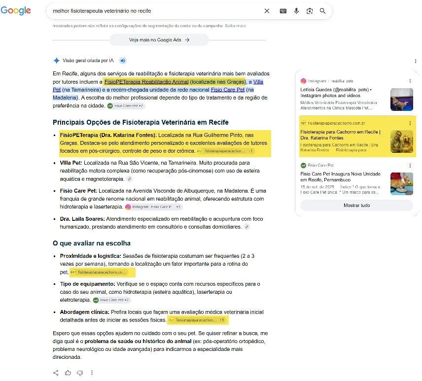 Dra. Katarina Fontes citada em busca do Google como fisioterapeuta veterinária no Recife