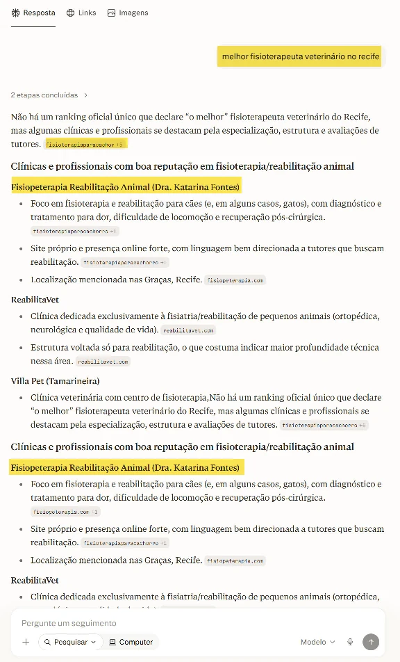 Dra. Katarina Fontes citada pelo Perplexity como fisioterapeuta veterinária no Recife