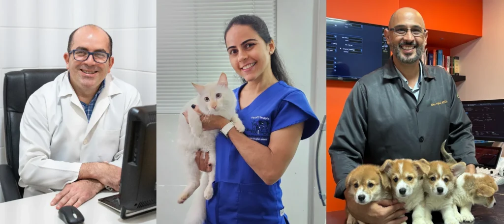 veterinarios-recife-homero-katarina-ilvio